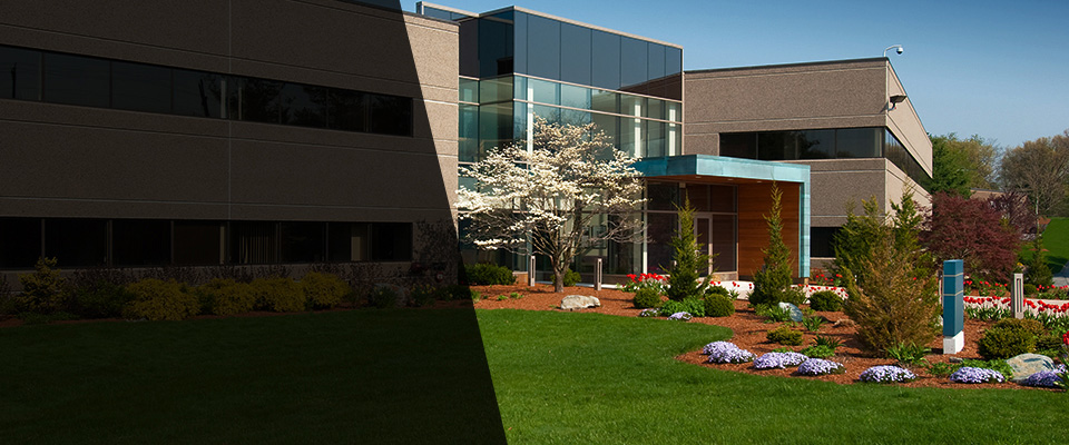 Saint Francisville Landscapers