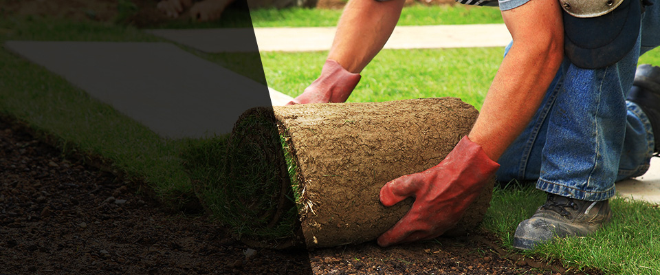 Saint Francisville Landscapers